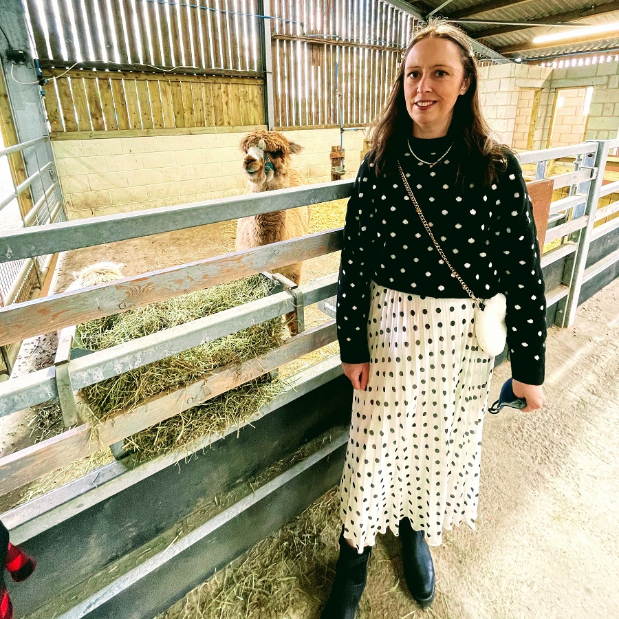 Eddie & Alfie The New Alpacas At White Post Farm Double Polka Dot Outfit | Eddie & Alfie The New Alpacas At White Post Farm
