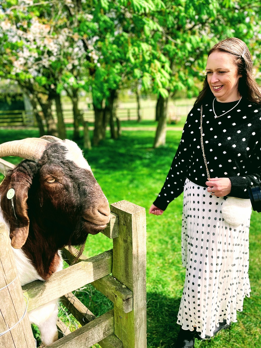 Nothing To See Here Just Me Double Dotting