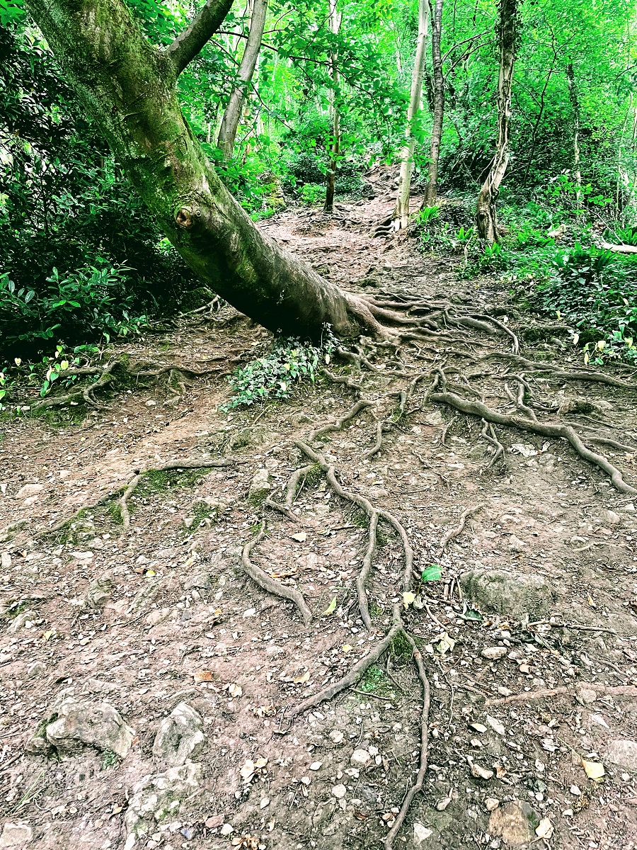 A Day Out In Derbyshire: Three Places To Visit A Little Sparkle Every Day: Visit To Matlock Baths