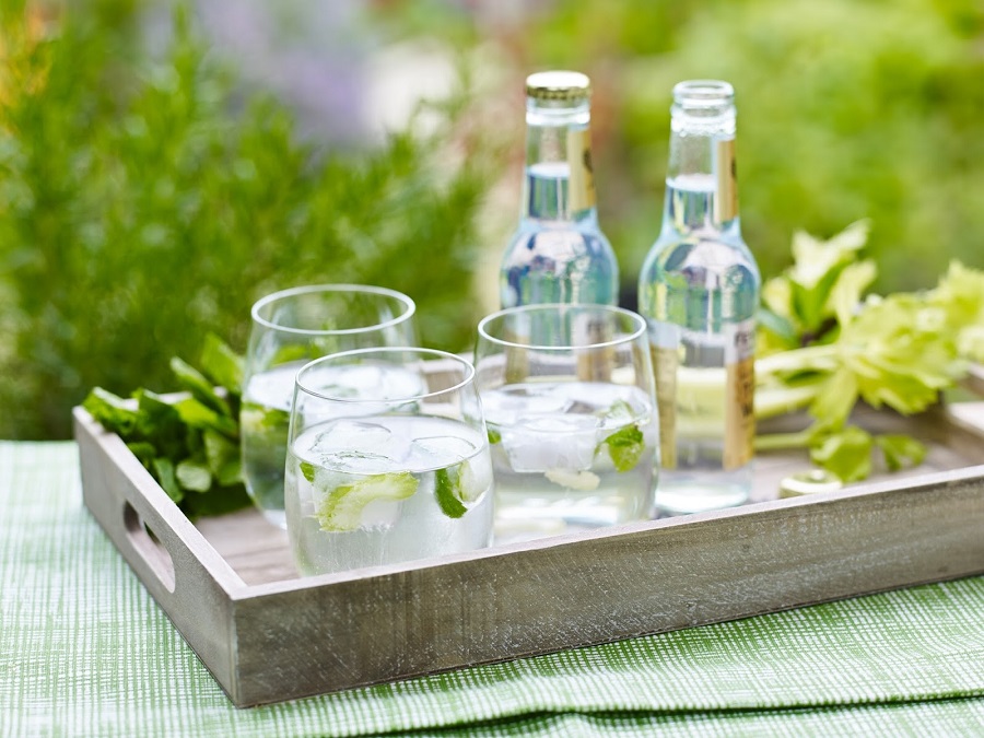 How To Make Celery And Mint Ice Cubes for Vodka