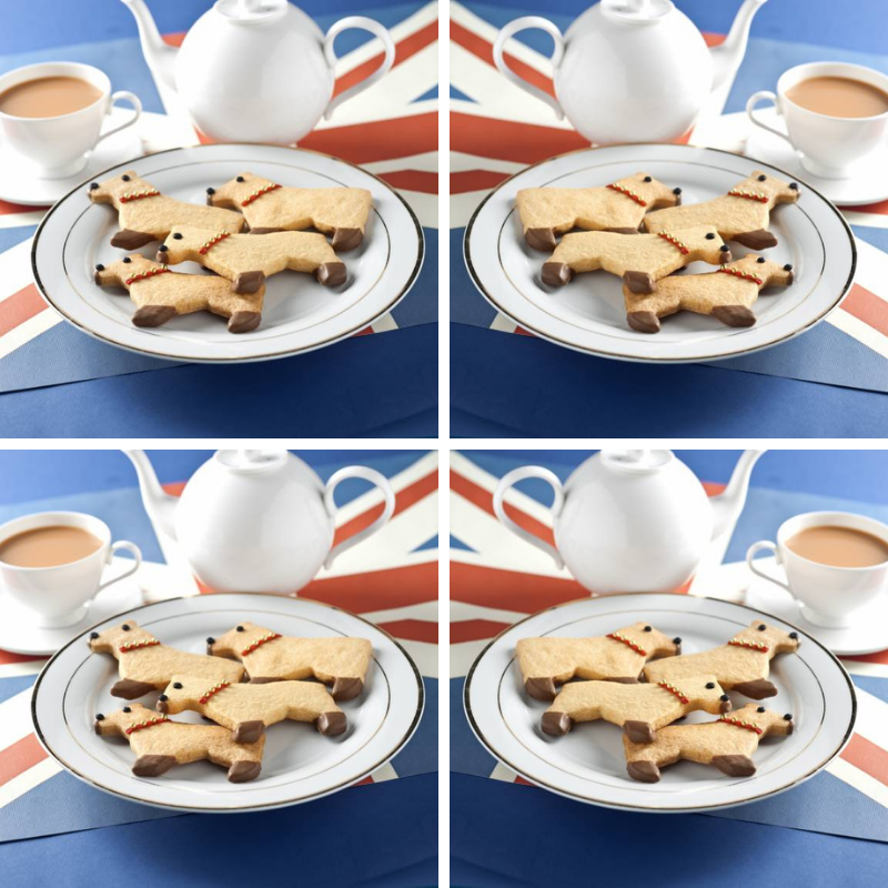 How To Make Corgi Biscuits