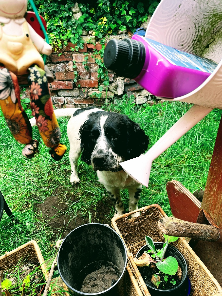 Favourite Five Friday: 25th June Weekend Link Up