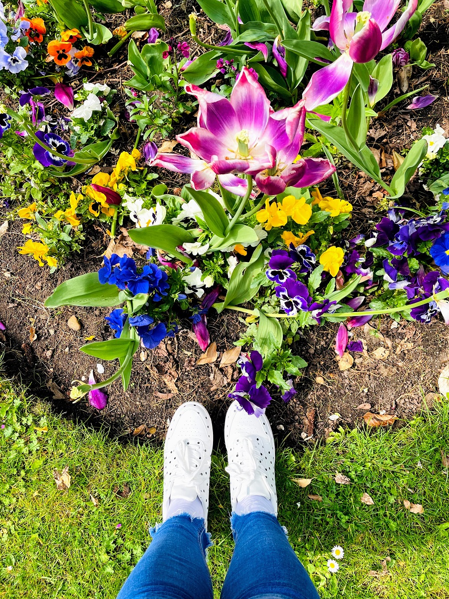 Newark Castle And A Trip To The Charity Shops Flowers