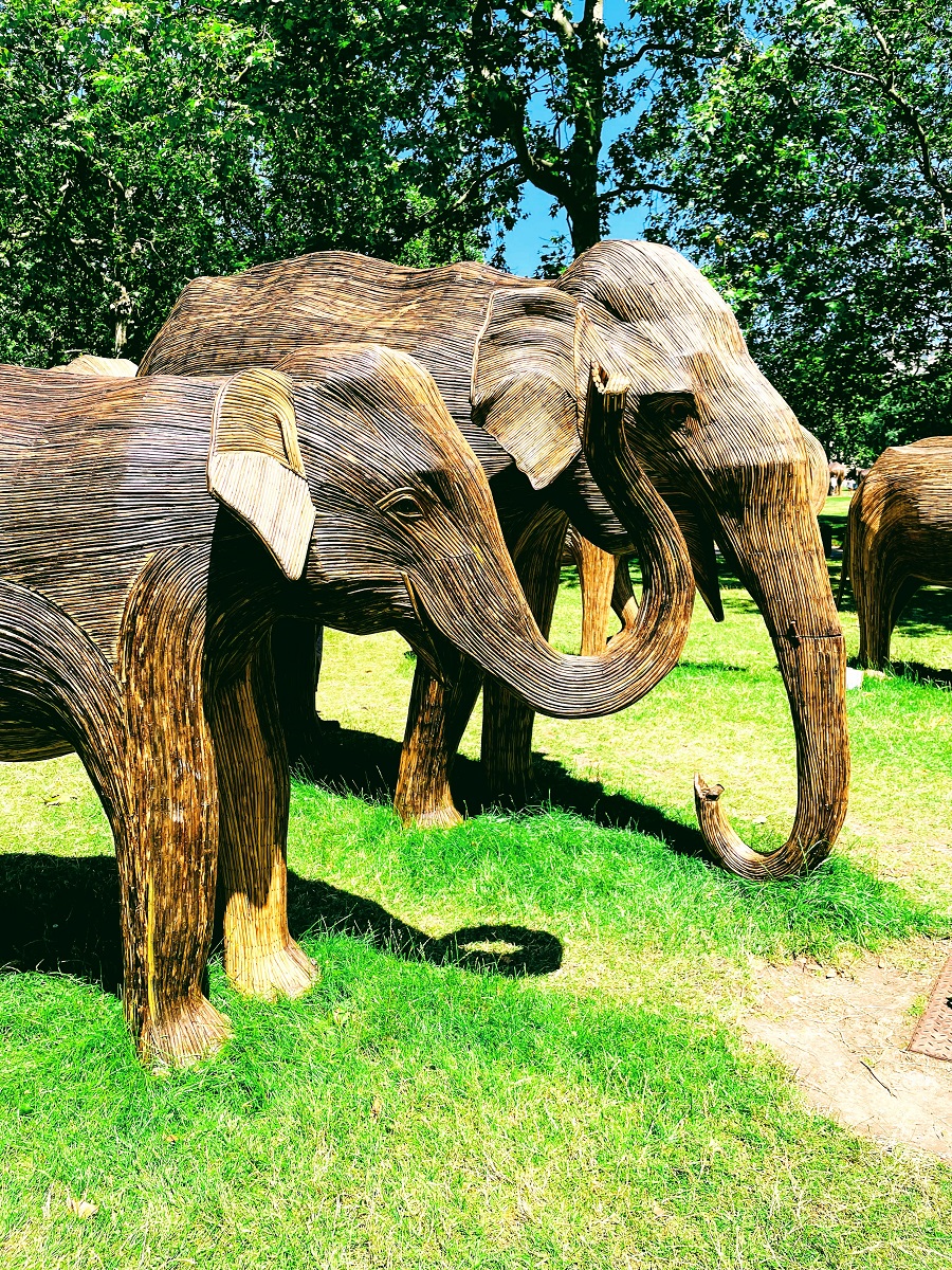 100 Life Size Elephants Spotted In London London