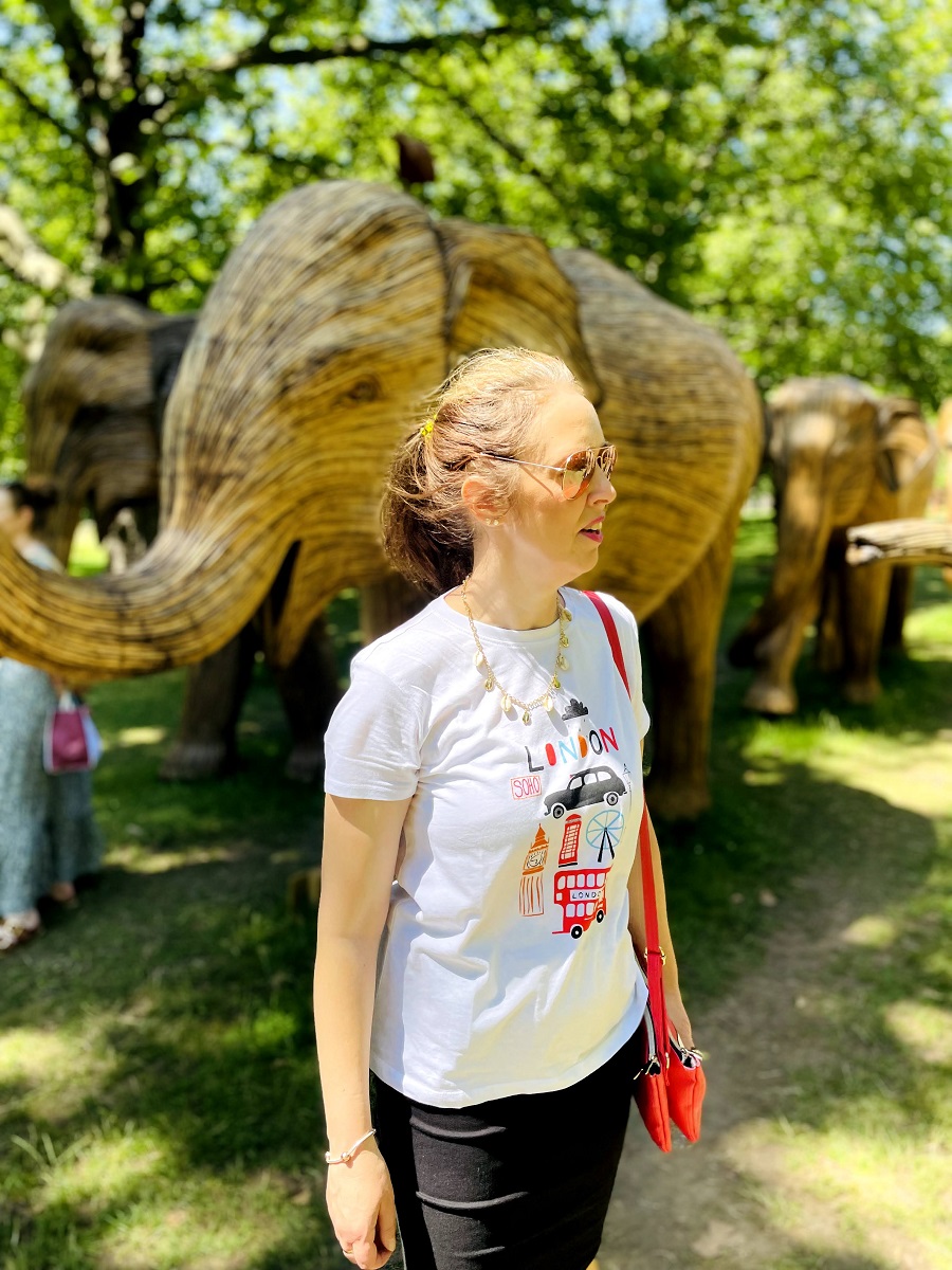 100 Life Size Elephants Spotted In London 100 Life Size Elephants Spotted In London