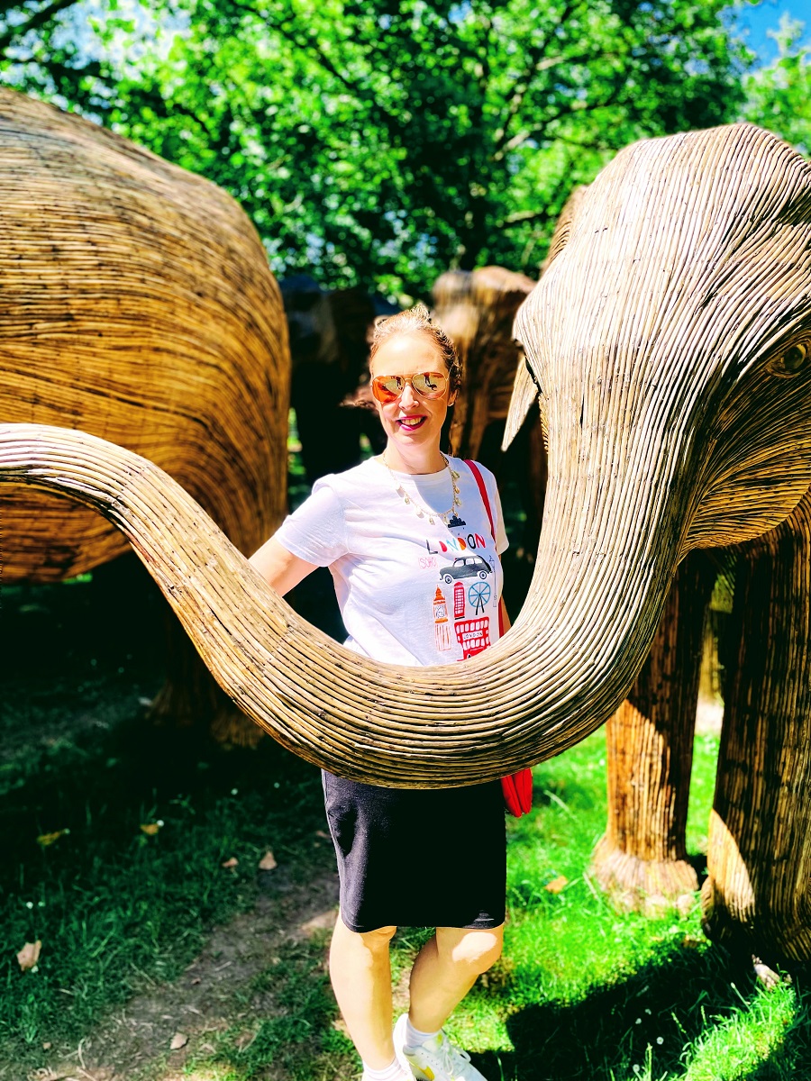 100 Life Size Elephants Spotted In London 100 Life Size Elephants Spotted In London