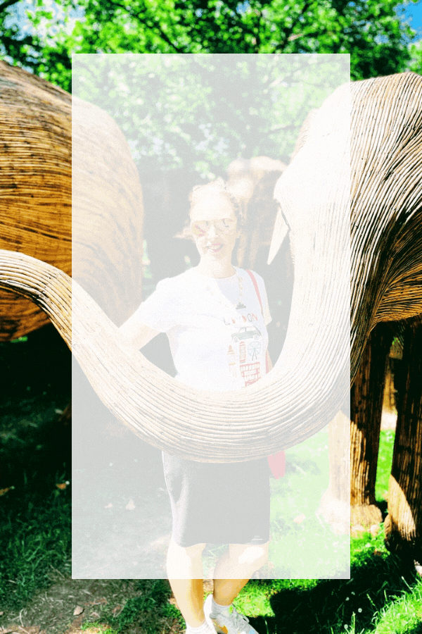 100 Life Size Elephants Spotted In London 100 Life Size Elephants Spotted In London