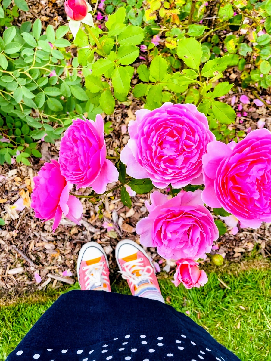 Bonmarché Printed Jersey Dress With Converse With Converse