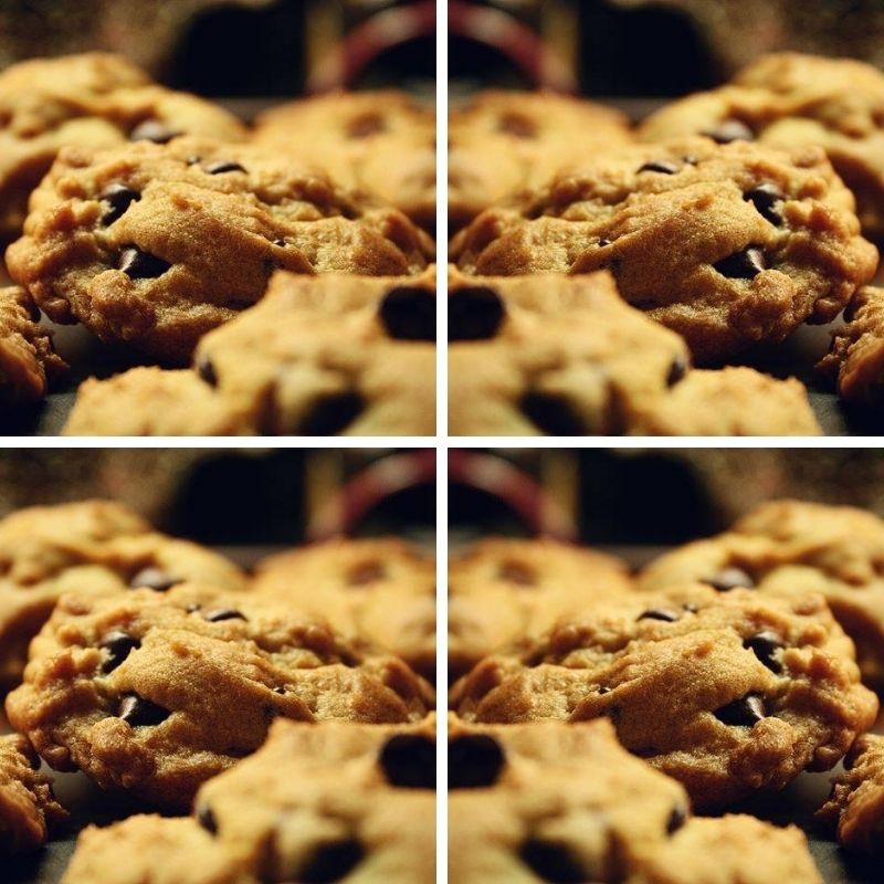 Chocolate Protein Cookie Recipe: After Workout Treats Chocolate Protein Cookie Recipe