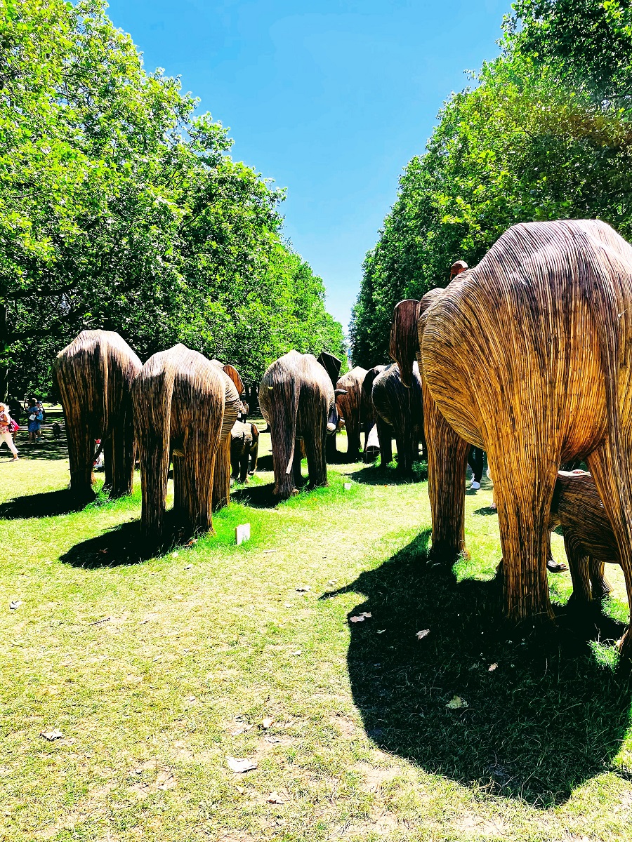 100 Life Size Elephants Spotted In London 100 Life Size Elephants Spotted In London