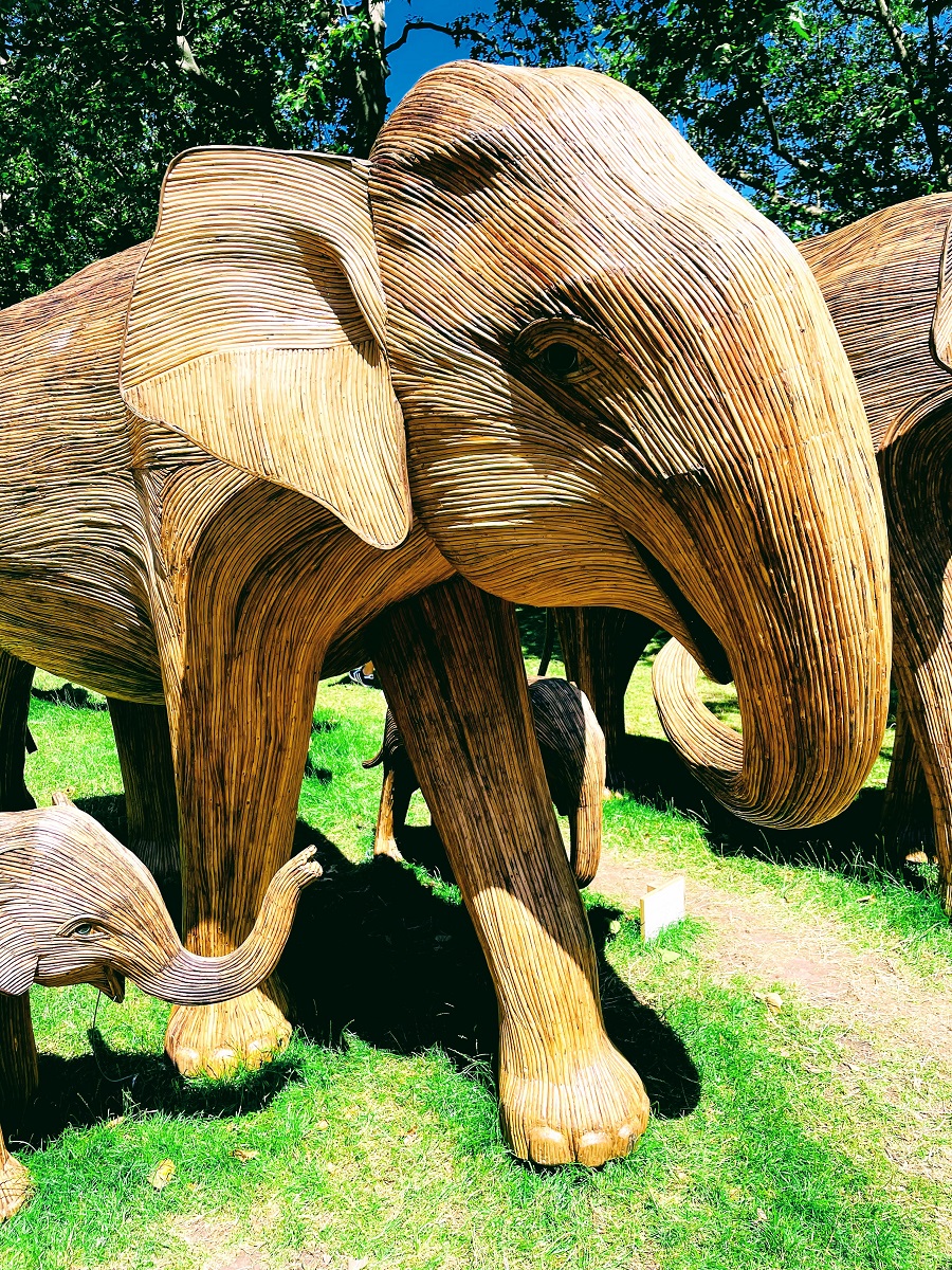 100 Life Size Elephants Spotted In London 100 Life Size Elephants Spotted In London