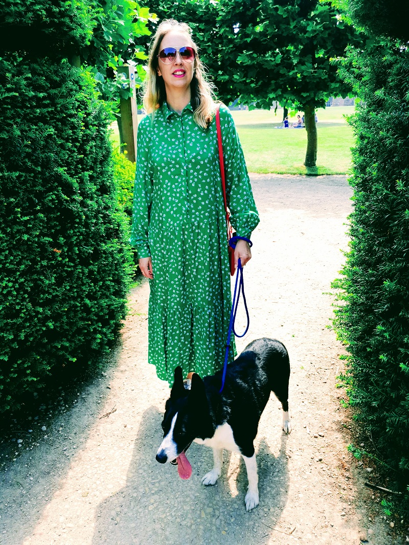 Mollie Was At Most Of My Photo Shoots