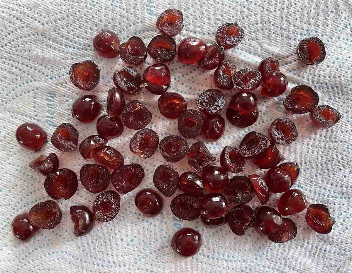 cut cherries on paper towel.