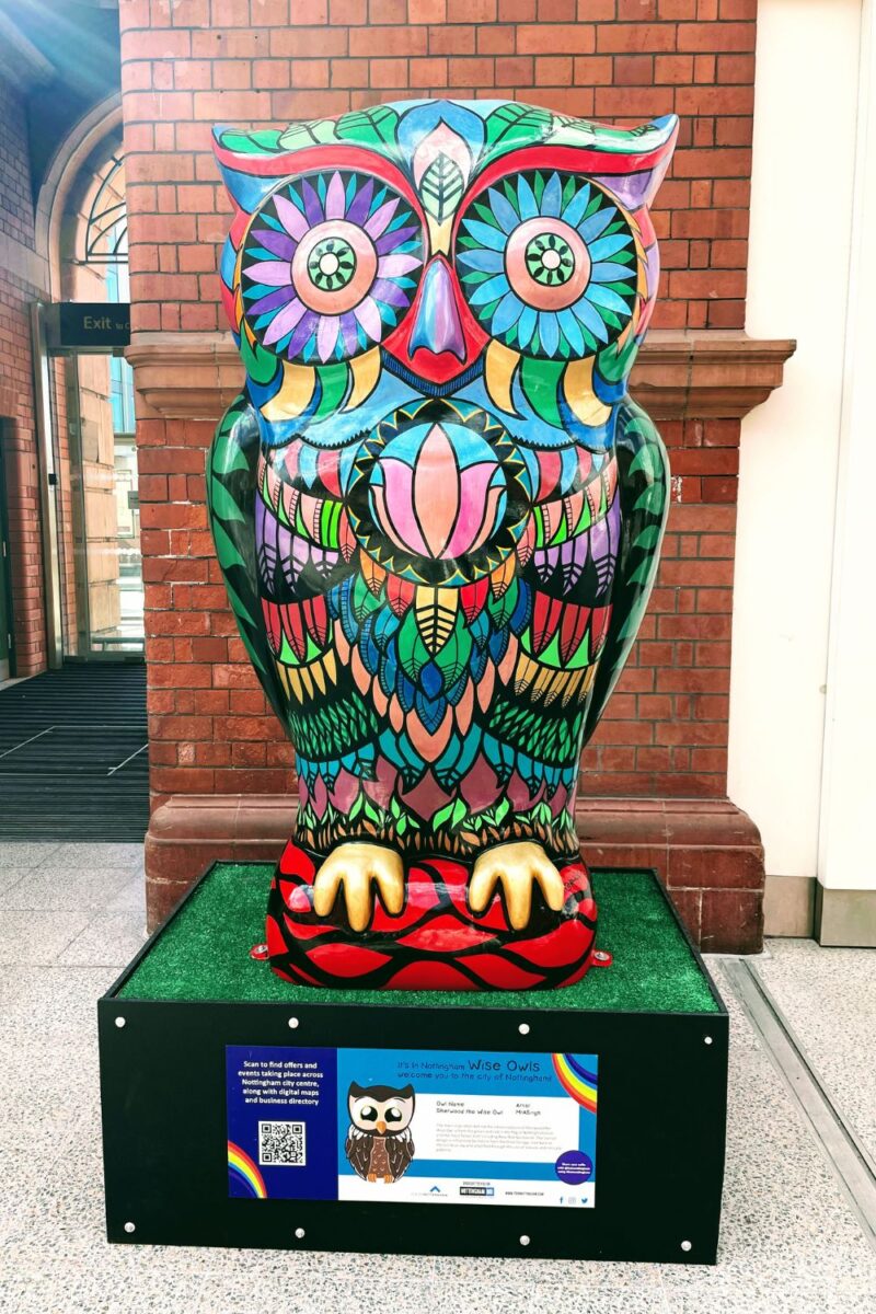 Explore The Colourful Owl Trail In Nottingham My Selfie Saturday Adventure