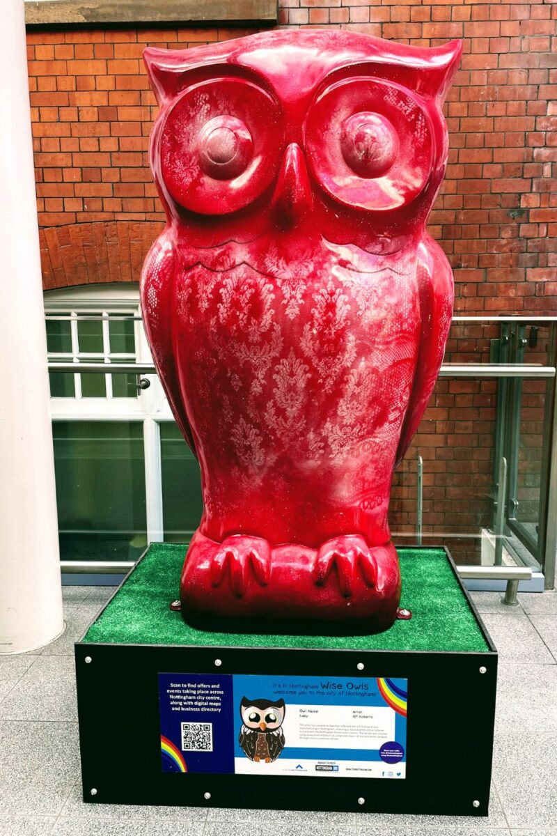 Explore the Colourful Owl Trail In Nottingham My Selfie Saturday Adventure