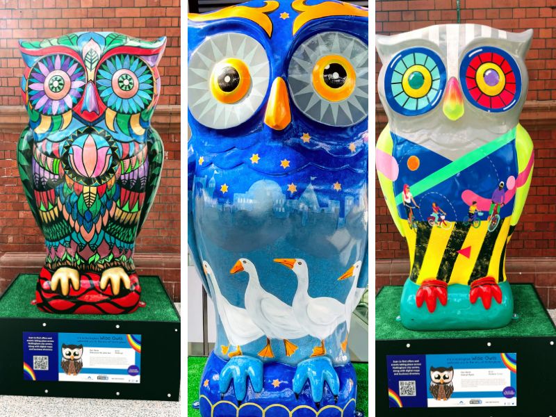 Explore The Colourful Owl Trail In Nottingham My Selfie Saturday Adventure