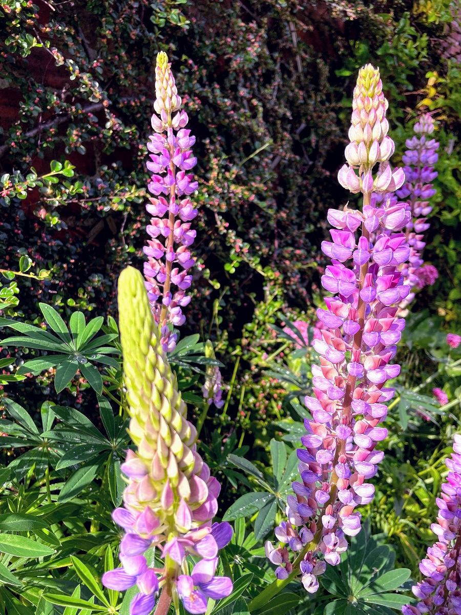 Sometimes The Smallest Things Take Up The Most Room Sometimes The Smallest Things Take Up The Most Room In Your Heart