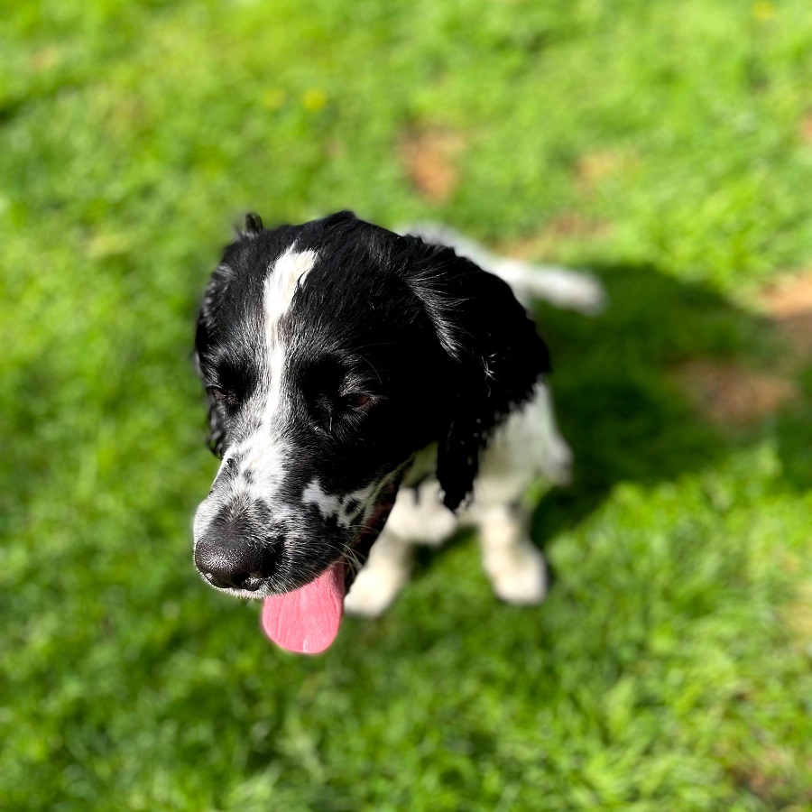 Sometimes The Smallest Things Take Up The Most Room Sometimes The Smallest Things Take Up The Most Room In Your Heart