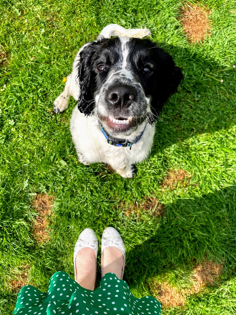Sometimes The Smallest Things Take Up The Most Room How To Style A Green Polka Dot Dress: Fresh, Fun & Fabulous