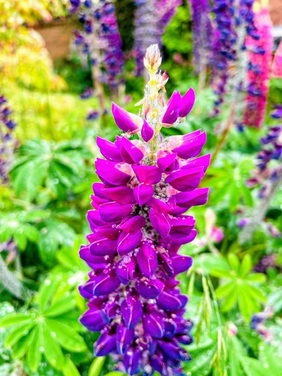 Sometimes The Smallest Things Take Up The Most Room How To Style A Green Polka Dot Dress: Fresh, Fun & Fabulous