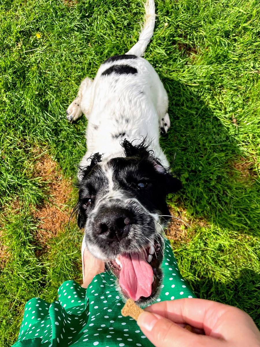 Sometimes The Smallest Things Take Up The Most Room In Your Heart