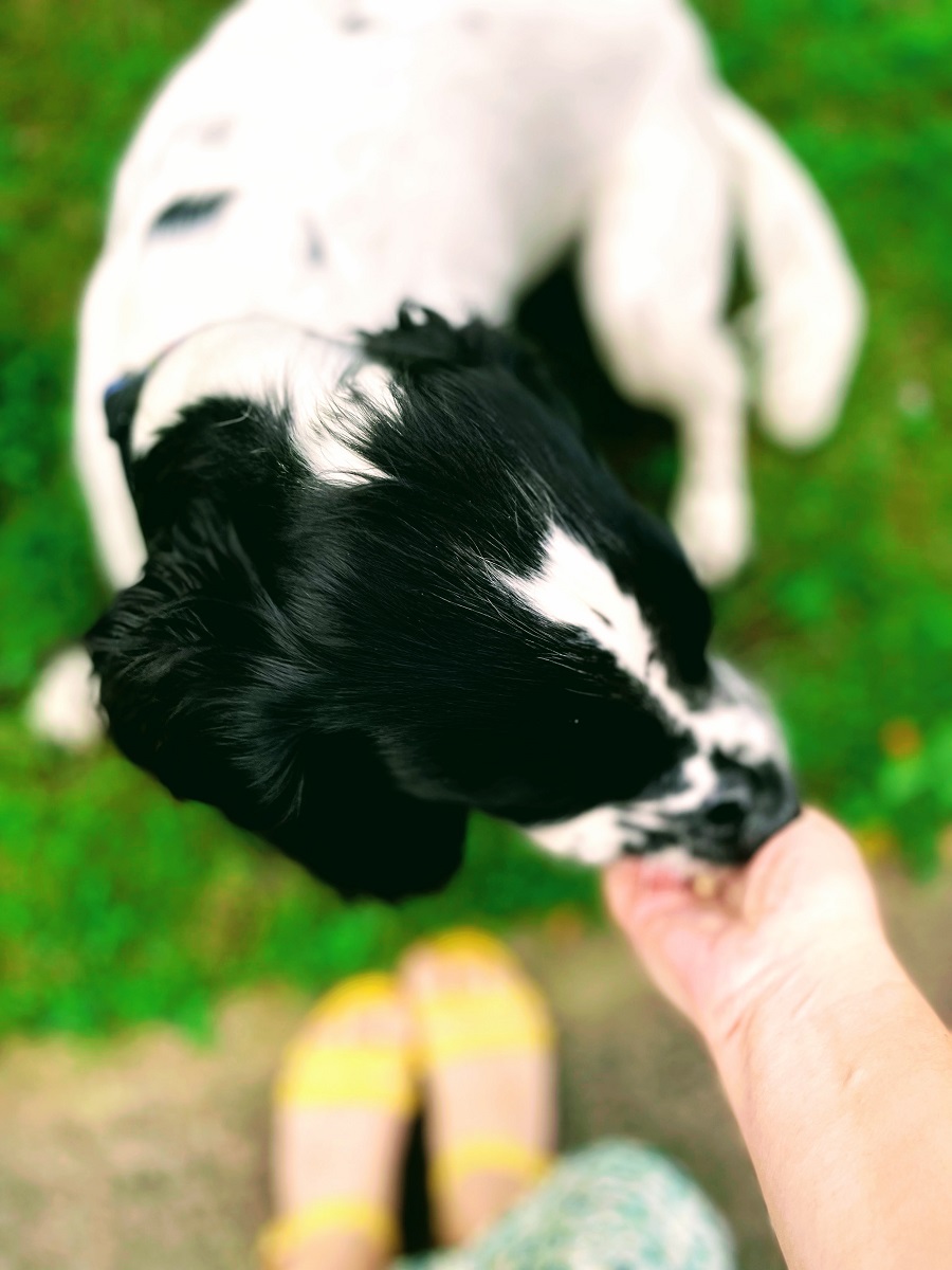 Tell Me What You Did Last Weekend Tell Me What You Did Last Weekend: