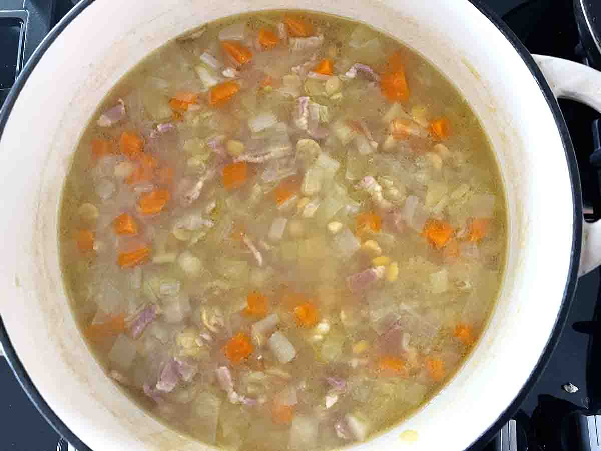 cooked soup, ready to be pureed.