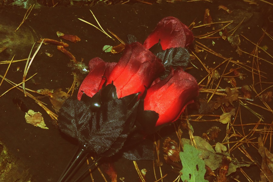 Spooky Photoshoot In The Woods 31 Days Of October. 