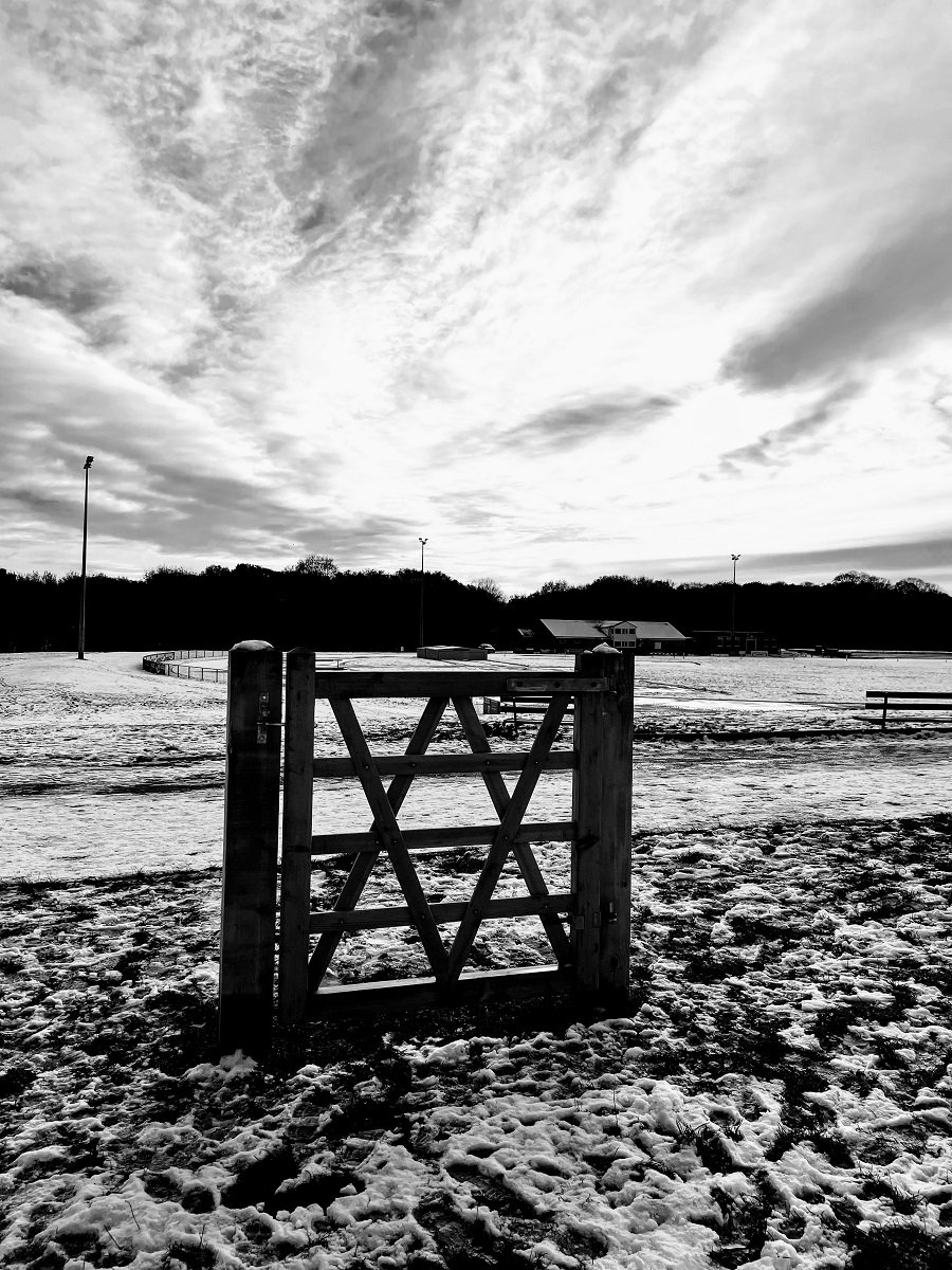 A Random Gate, Snow Photos, And Berries A Random Gate, Snow Photos, And Berries