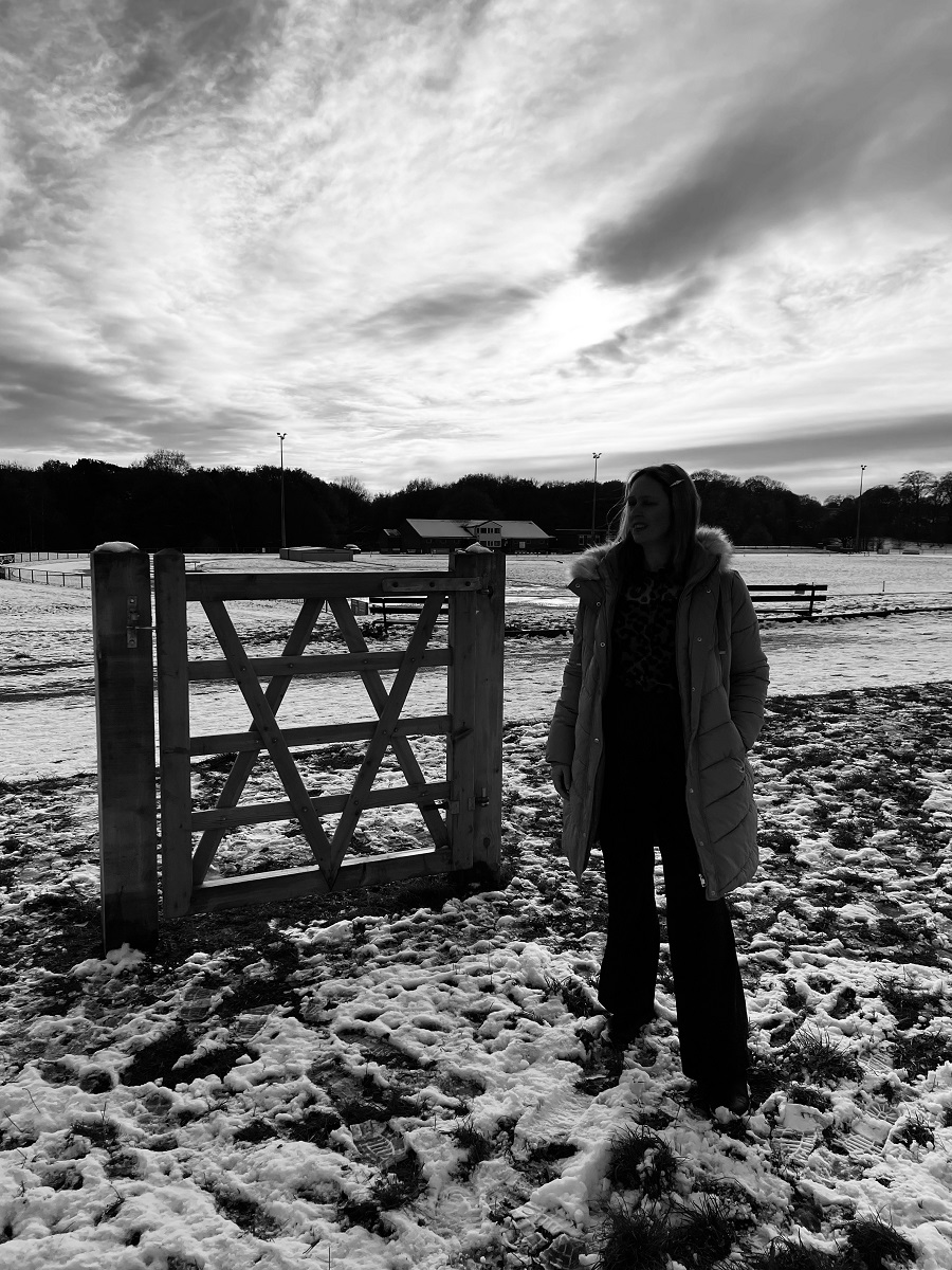 A Random Gate, Snow Photos, And Berries A Random Gate, Snow Photos, And Berries
