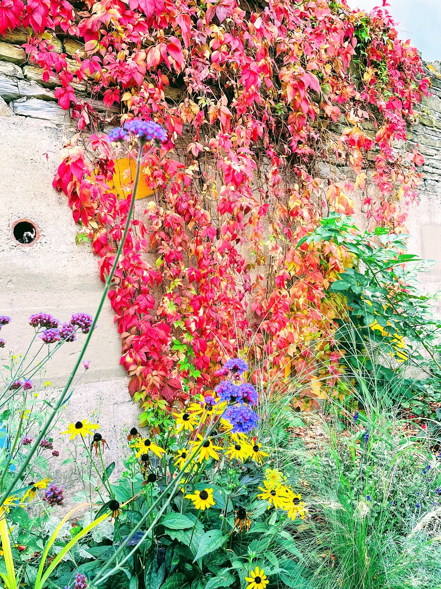 The Wonderful Colours Of Autumn