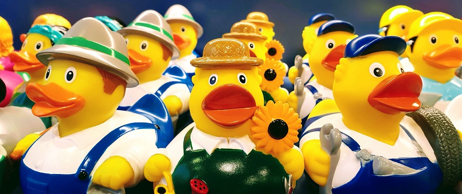 National Rubber Ducky Day: The Duck House