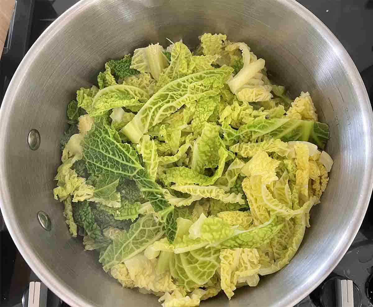 cooked and drained cabbage in a saucepan.