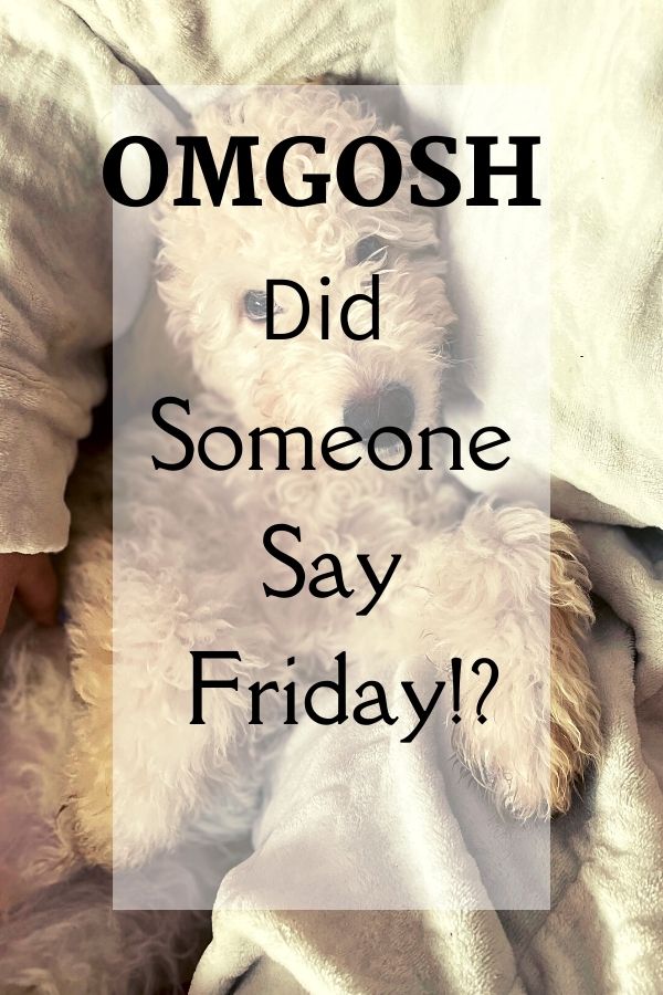 OMGOSH Did Someone Say Friday!?