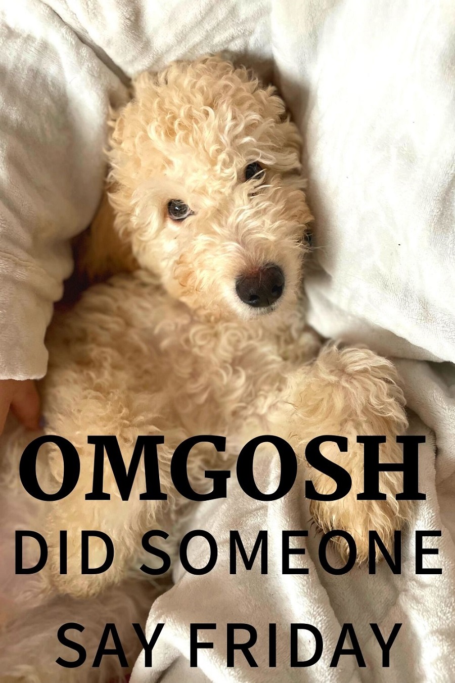 Keep Calm: OMGOSH Did Someone Say Friday!?