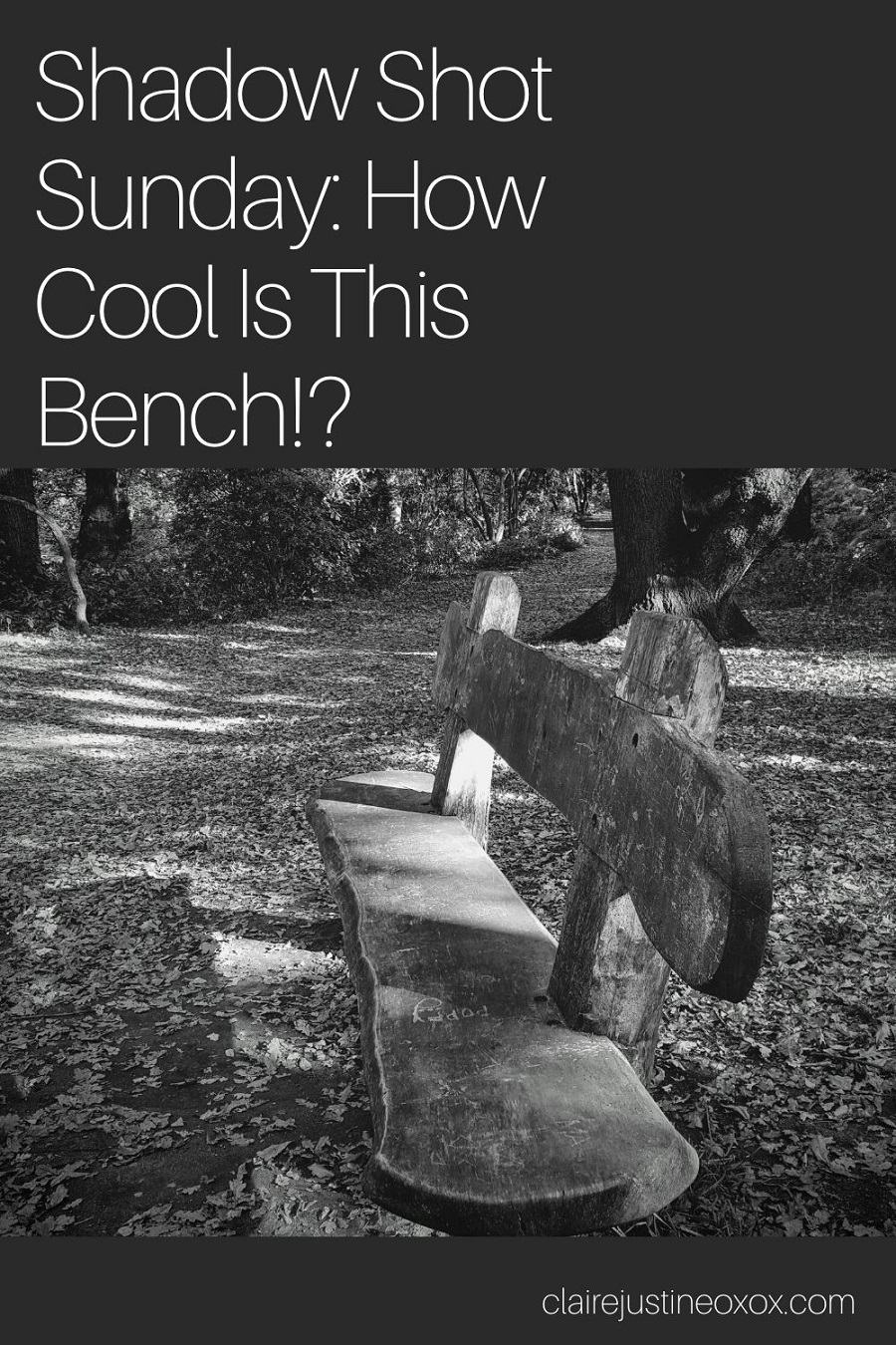 “When you can't look on the bright side, I will sit with you in the dark. -Alice in Wonderland”