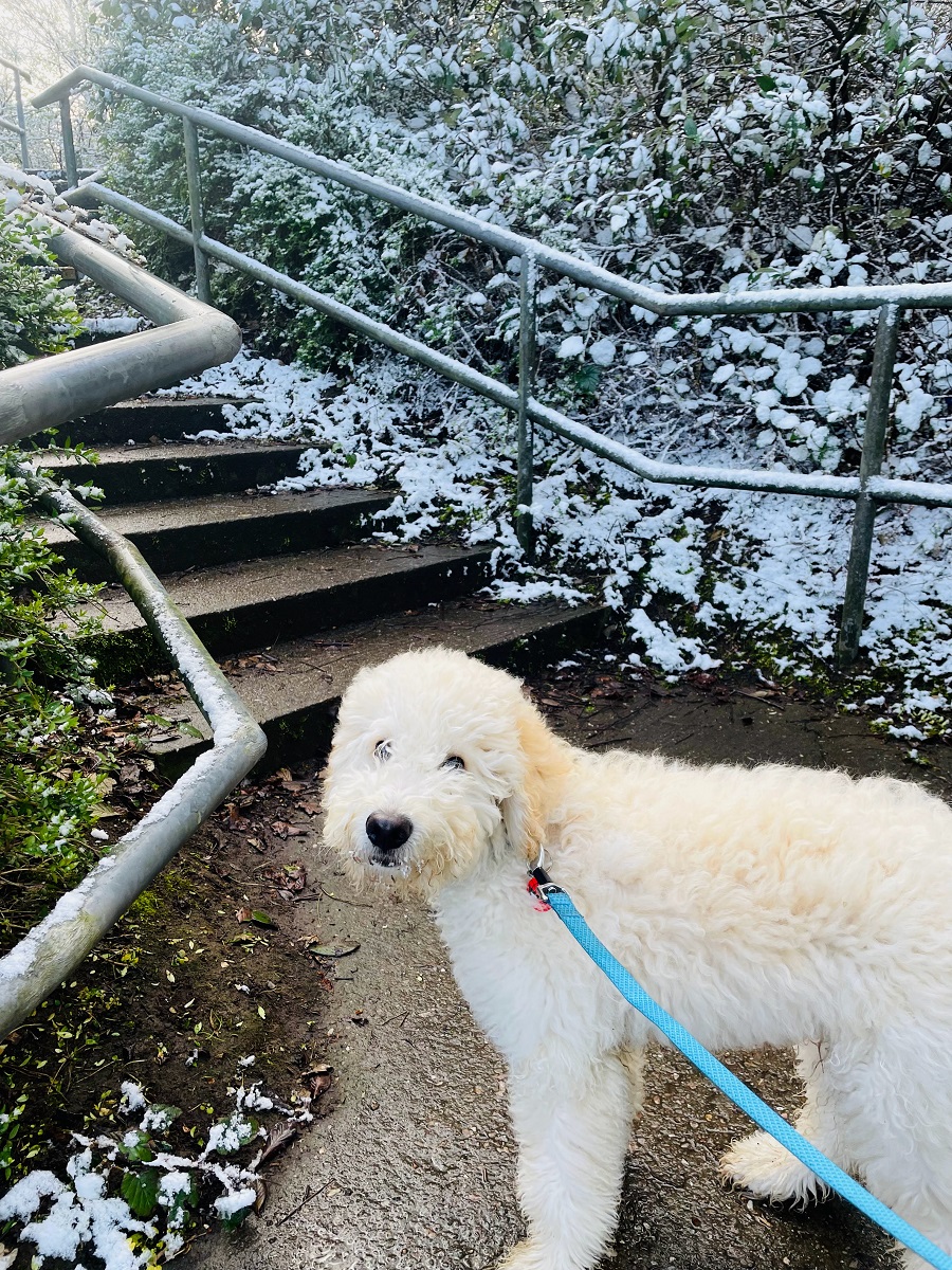 Just When You Think Spring Has Arrived It Snows! 