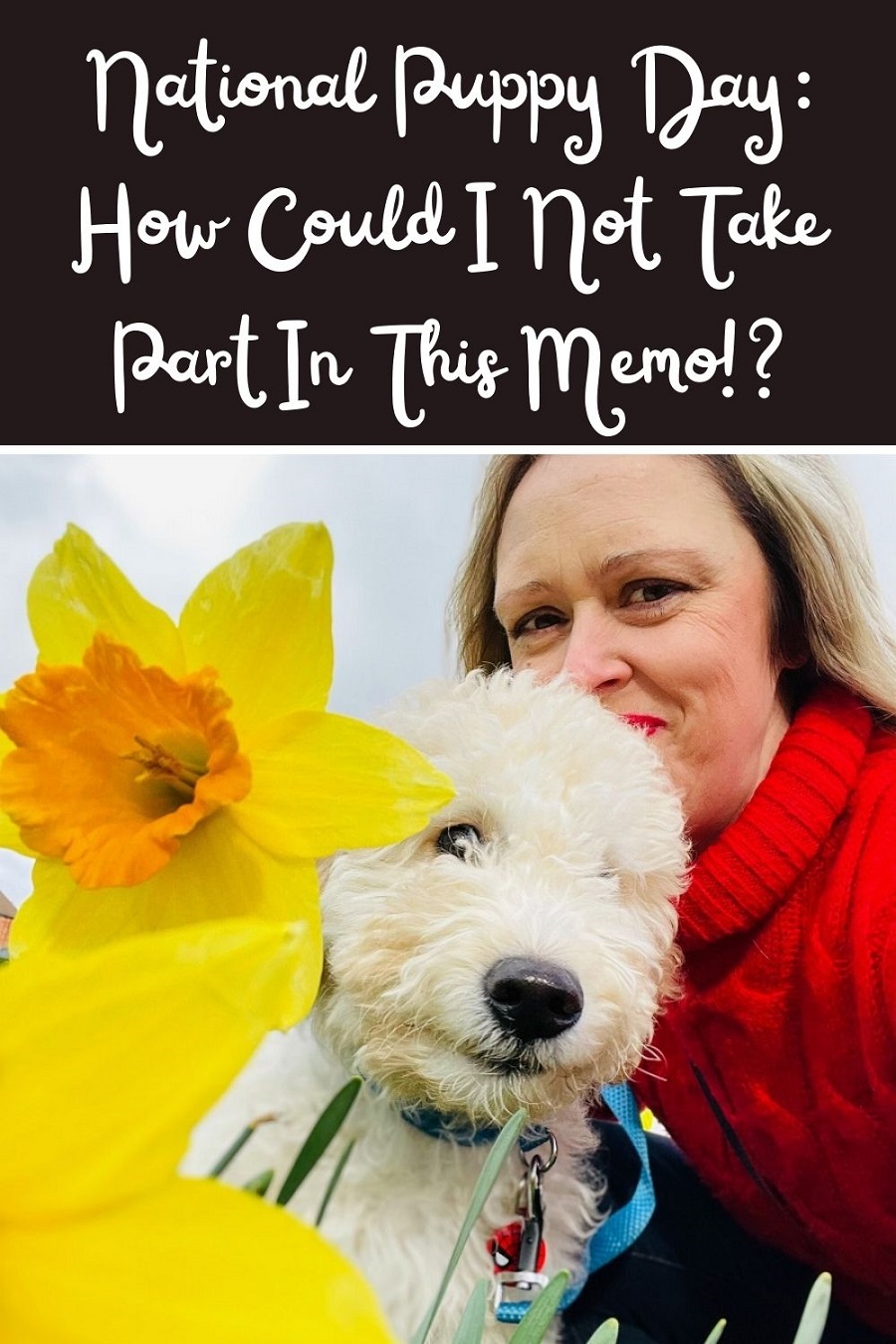 National Puppy Day: How Could I Not Take Part In This Memo!?