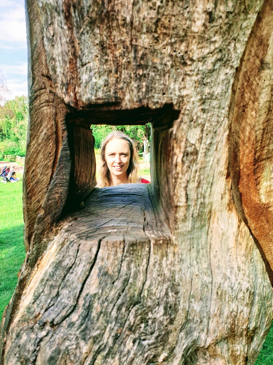 Sherwood Forest: The International Day of Forests