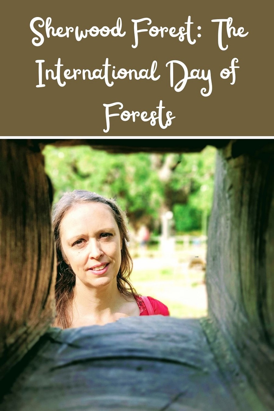 Sherwood Forest: The International Day of Forests