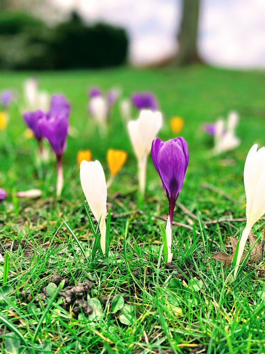 Spring Is Just Around The Corner: