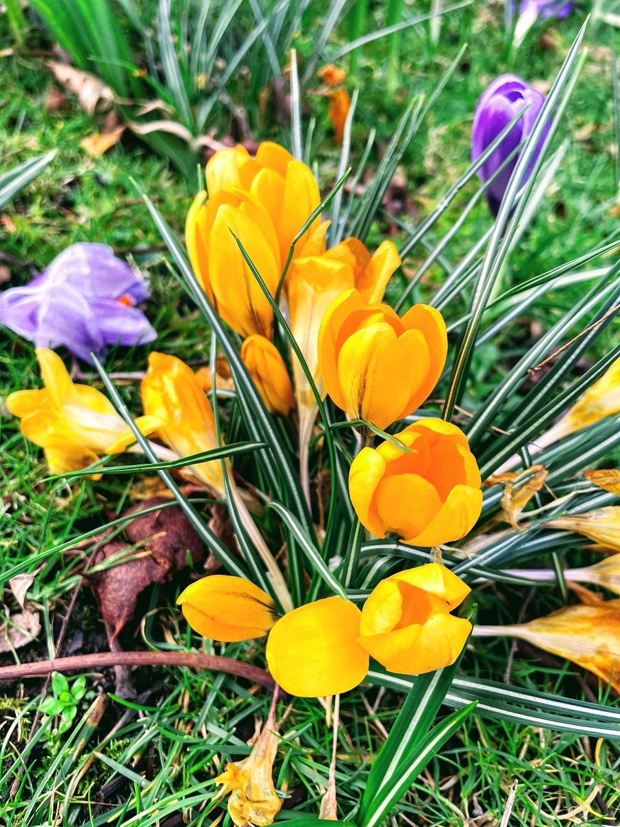 Spring Is Just Around The Corner: