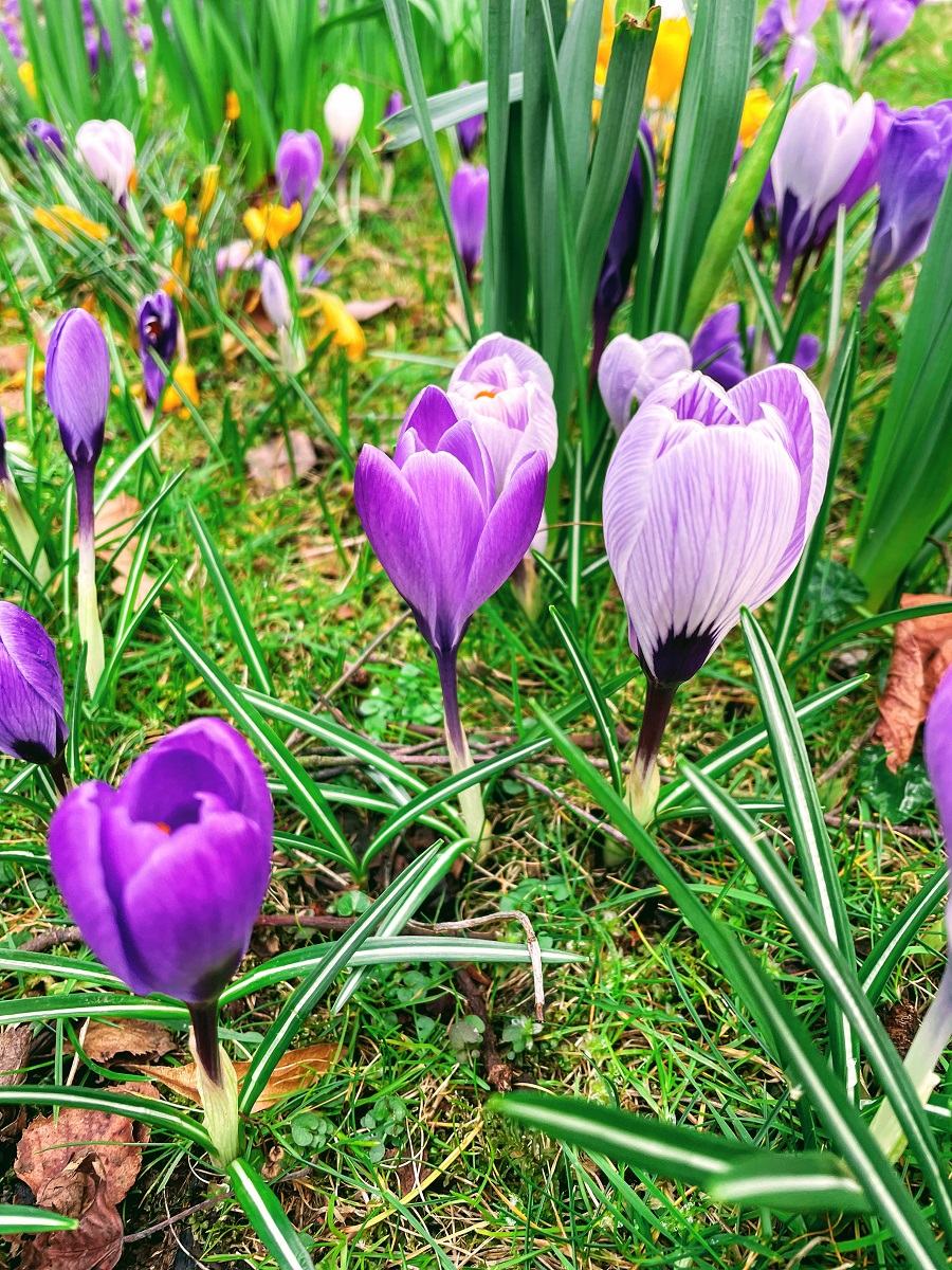 Spring Is Just Around The Corner: