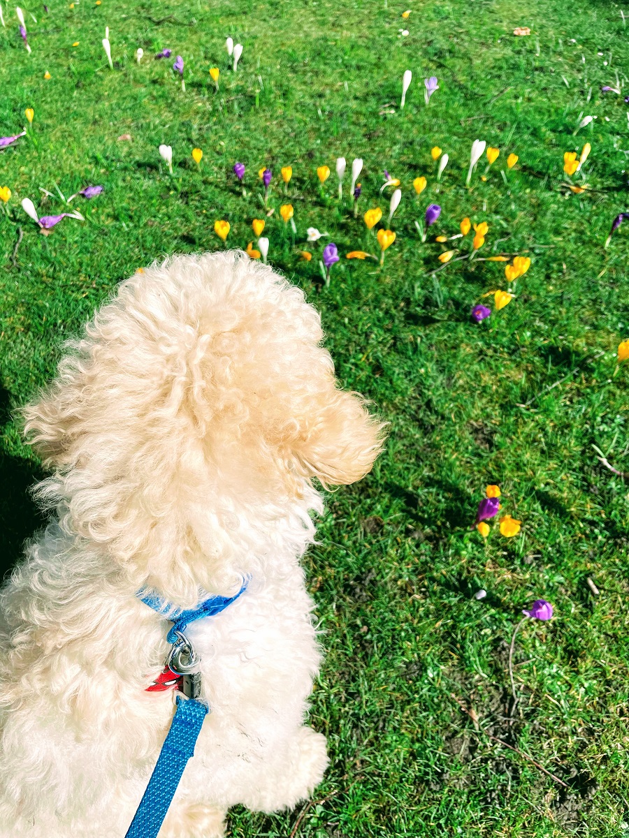 Spring Is Just Around The Corner: Motivational Monday