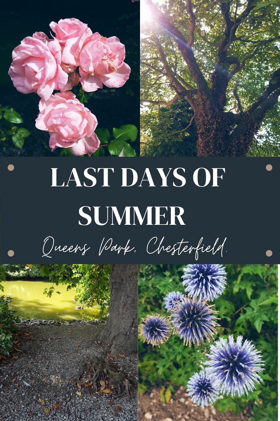 Last Days Of Summer. Last Days Of Summer: Queens Park, Chesterfield.
