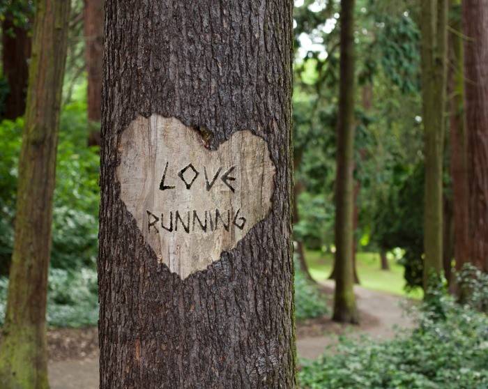 Sunday Runday And A Fall In The Woods Love running