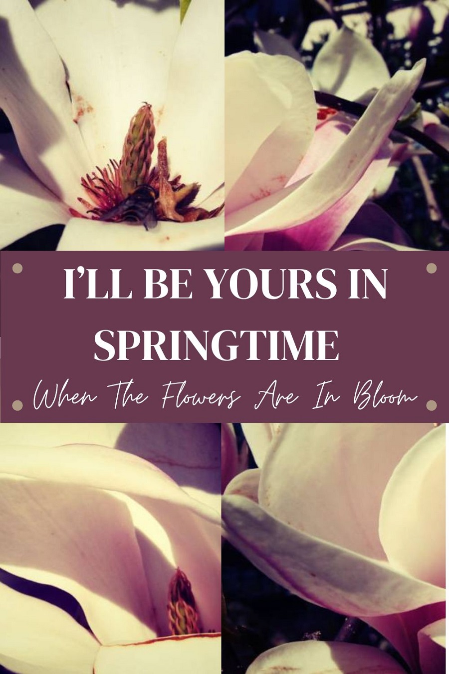 I'll Be Yours In Springtime When The Flowers: I'll Be Yours In Springtime When The Flowers: