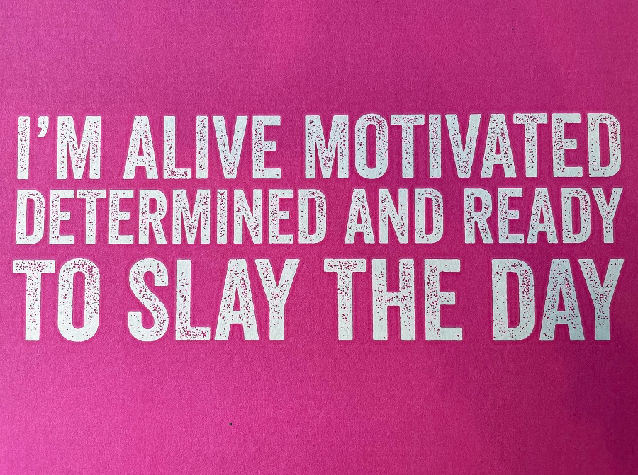 Slim Fast Challenge: 3-2-1 Plan Slim Fast Challenge