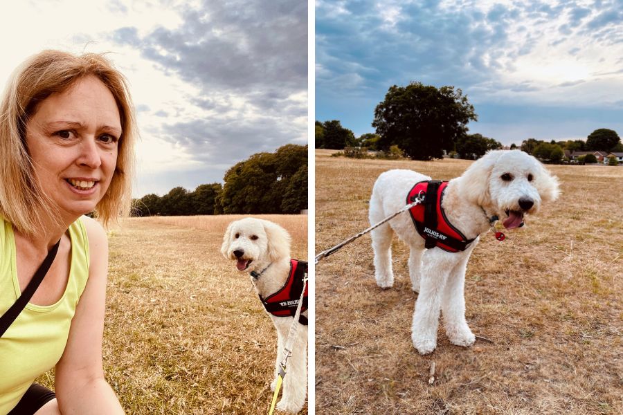 6am Walkies To Beat The Heat Murphy