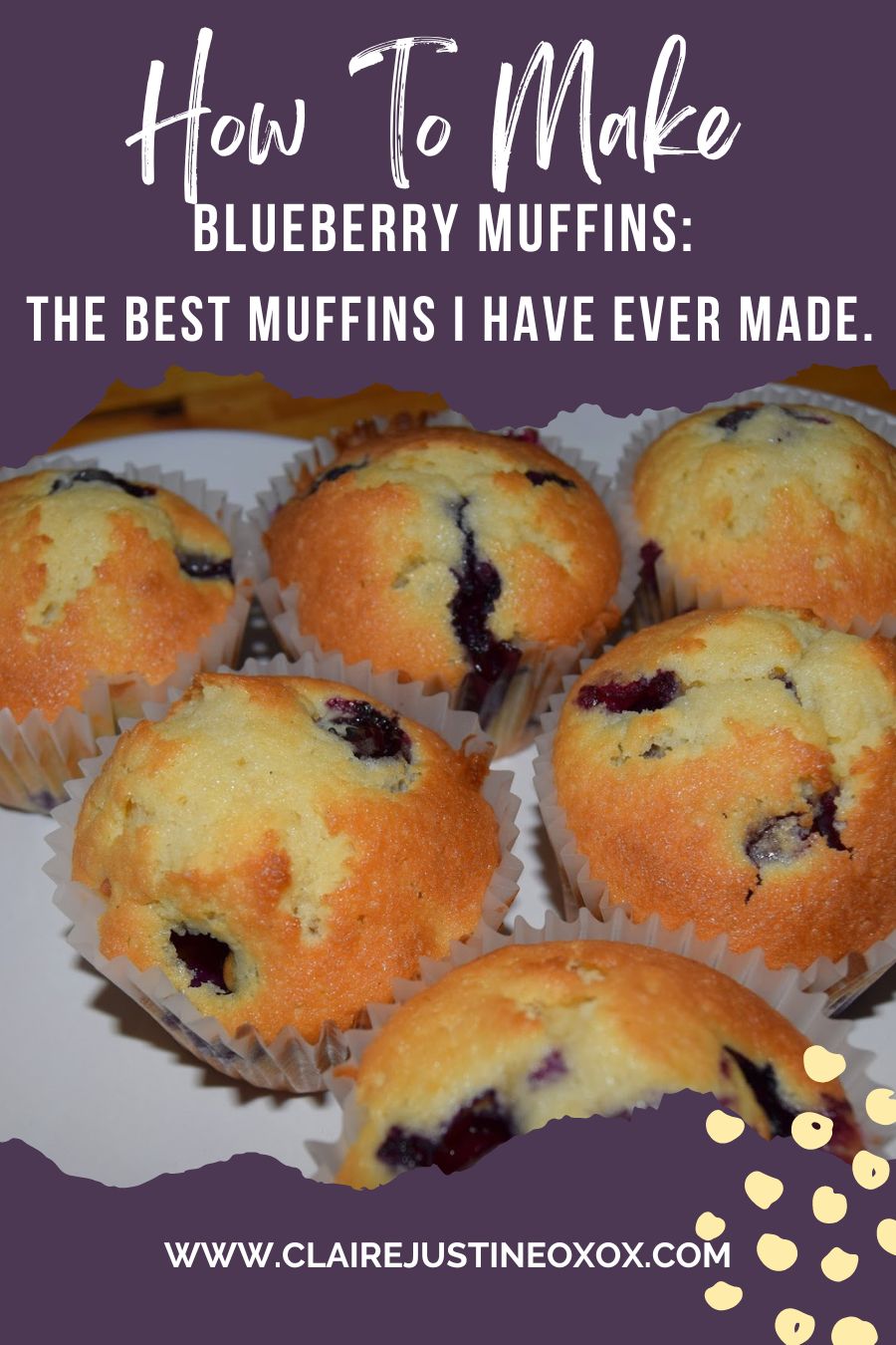 Blueberry Muffins: The Best Muffins I Have Ever Made.